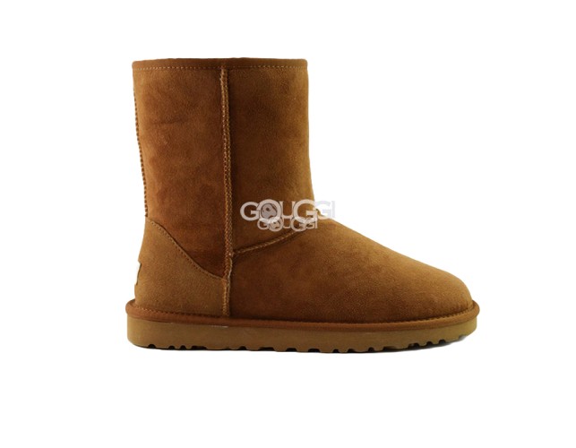 Classic Short Chestnut